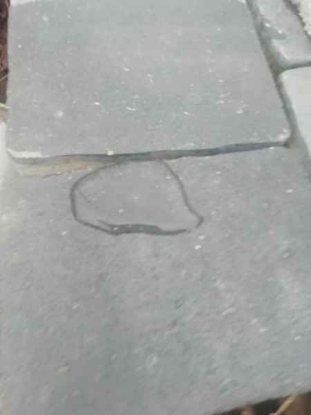 Impregnacja kostki brukowej